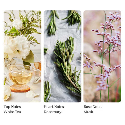 White Tea Bamboo & Rosemary