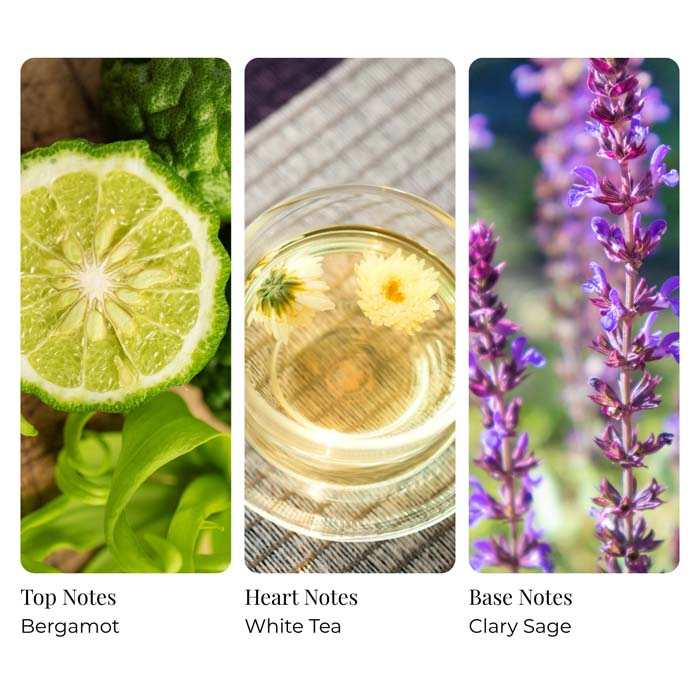 White Tea and Bamboo