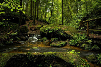 Lush green forest stream with moss-covered rocks and soft waterfall