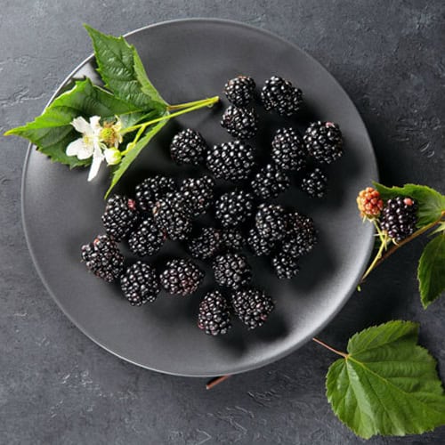 Blackberry T