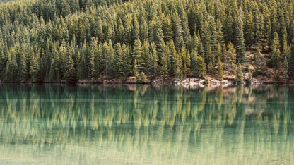 Serene forest lake reflection, evoking fresh green tea lemongrass and white tea scents for spa scenting inspiration