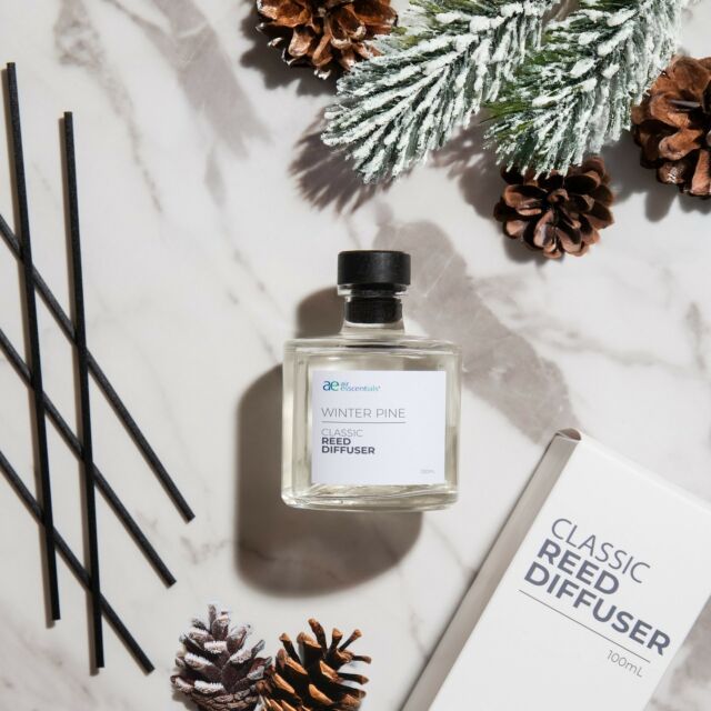 Your favorite fall and winter scents are also available in Classic Reed Diffusers. ❄️

The refreshing scent of Winter Pine transports you to a scenery of snow-covered pine trees and fresh cool air.

It’s a classic winter fragrance perfect for your living room, office or any open area. Shop this scented reed diffuser and others at our profile link.
.
.
#winterpine #pinescent #winterscents