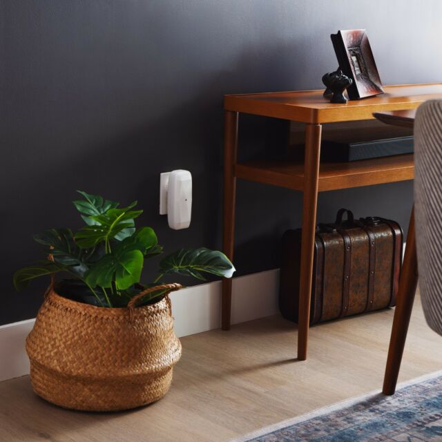 As the days get chillier, diffuse a cozy scent with The Diamond.
 
This plug-in diffuser powerfully scents up to 500 square feet and settings are programmable via our mobile app.

View more details about this diffuser online.
.
.
#plugindiffuser #plugindiffusers #thediamond