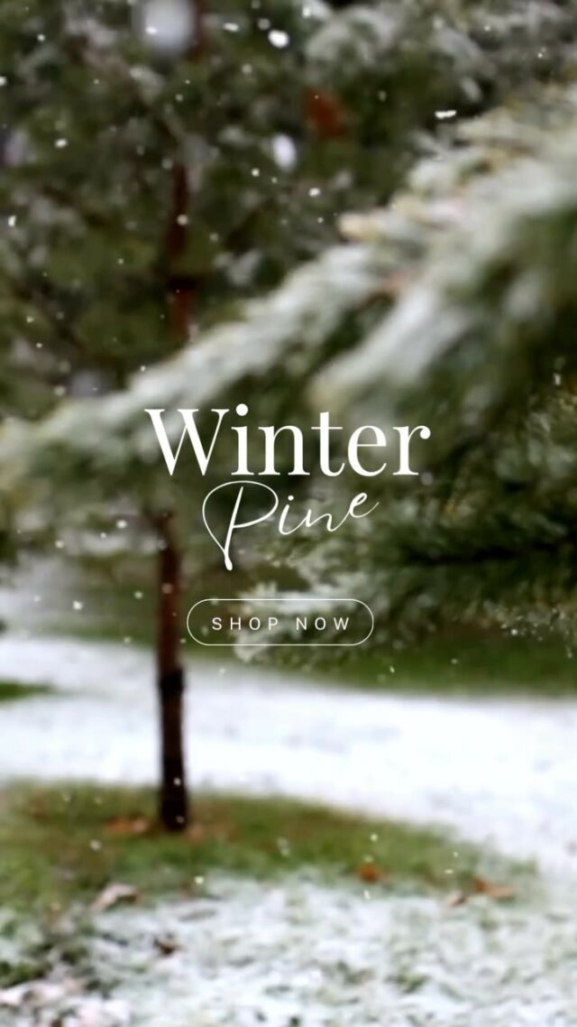 Step into a winter wonderland with our Winter Pine aroma! ❄️🌲 Experience the nostalgic scent of snow-kissed pine boughs and the fresh-cut fir notes that bring back memories of cherished Christmas tree farms. 

Fill your space with the essence of the season and create a cozy atmosphere for the holidays! 

#WinterPine #CozyVibes #AirEsscentials